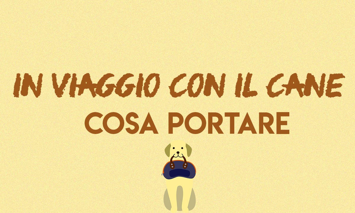 Cosa portare quando si va in viaggio con il cane | DogDeliver