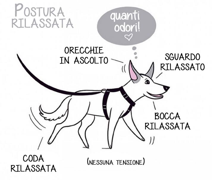 Cane stressato: capire i segnali e agire rapidamente