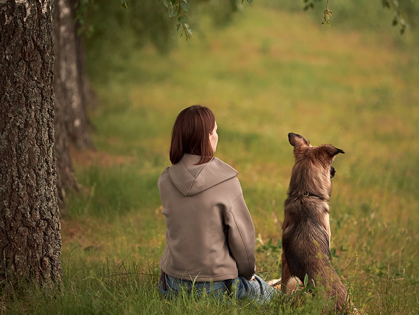 La relazione dei cani con gli umani supera anche la fame?