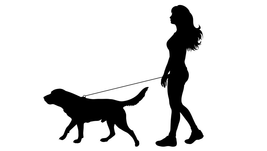 Lo sapevi che: I cani preferiscono le donne