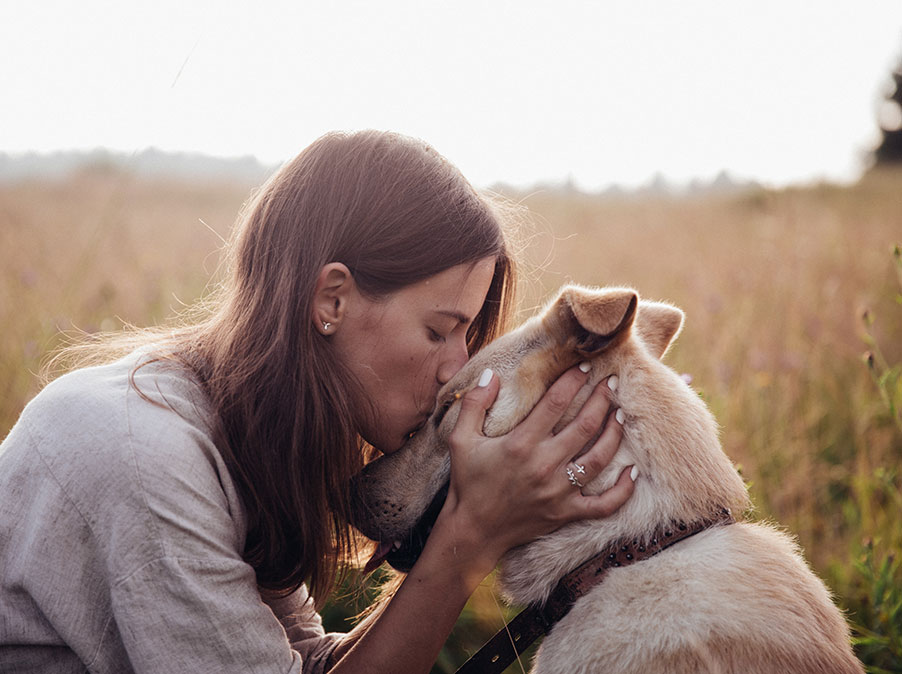 I Cani hanno bisogno di sicurezza emotiva, ecco cosa vuol dire