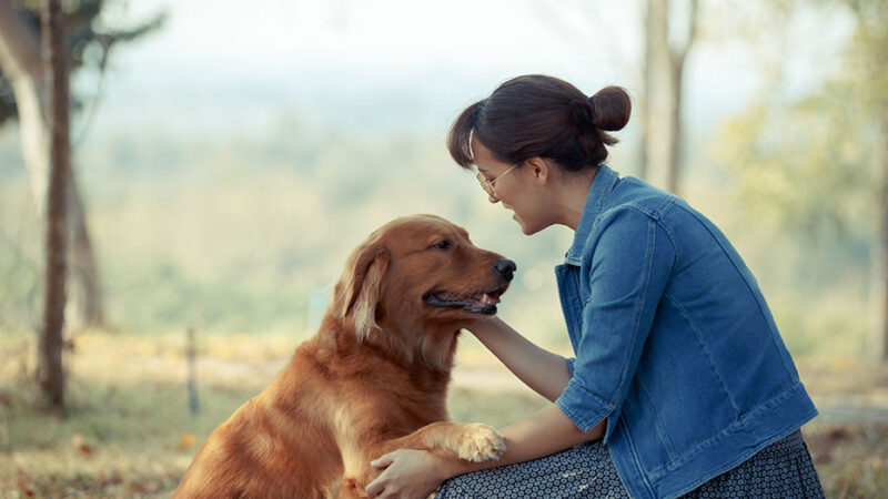 La relazione emotiva tra umani e Cani