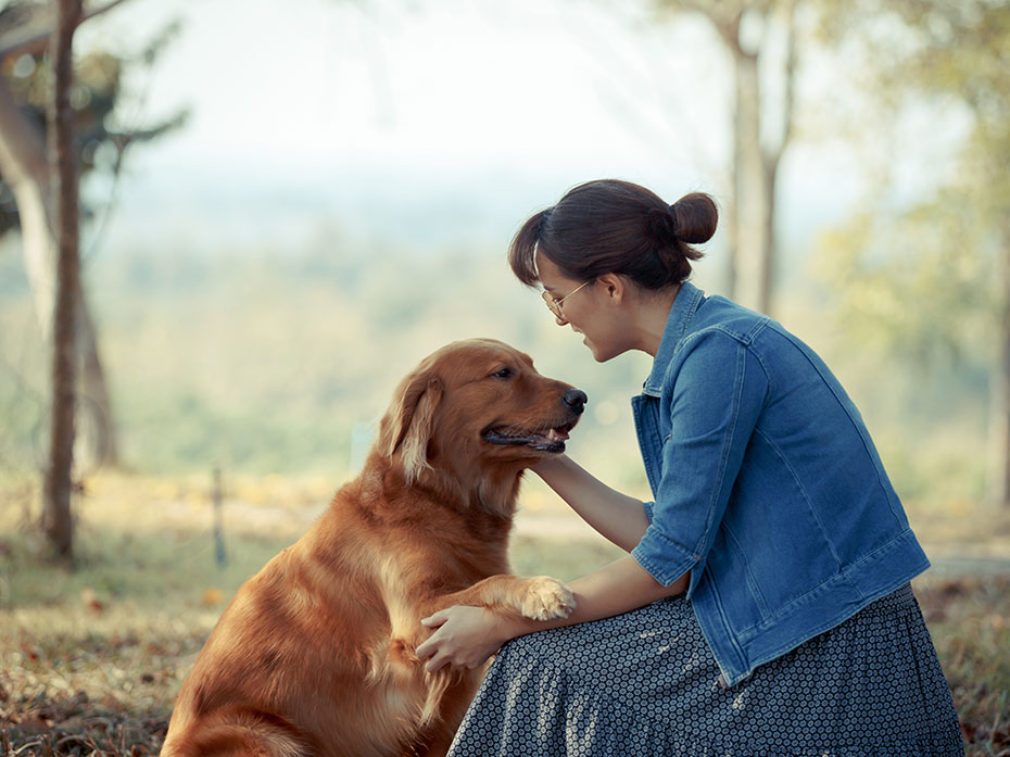 La relazione emotiva tra umani e Cani